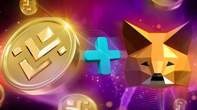 How To Add USDL to Metamask (Super Easy)