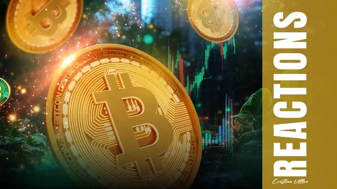 Bitcoin’s Rise: My View From the Trenches
